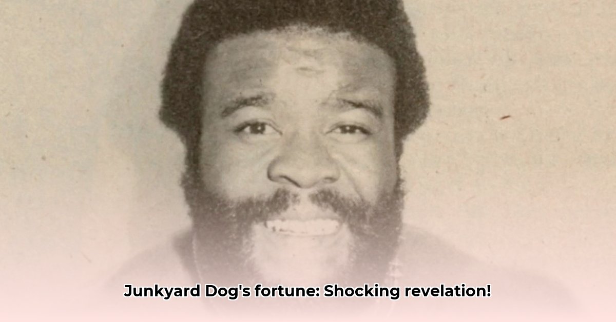 junkyard-dog-net-worth